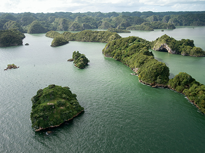 Los Haitises