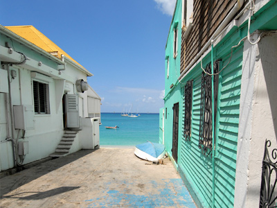Séjour sur les plus belles îles des Antilles