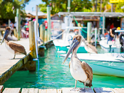 Séjour à Key West