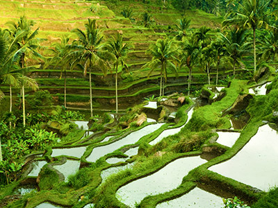 Voyage à Bali