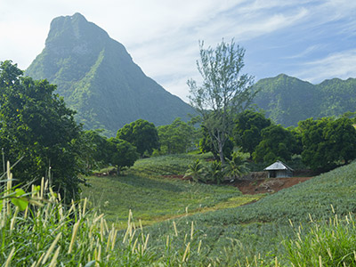 Séjour à Moorea