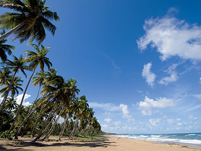 Une plage de sable fin en République Dominicaine