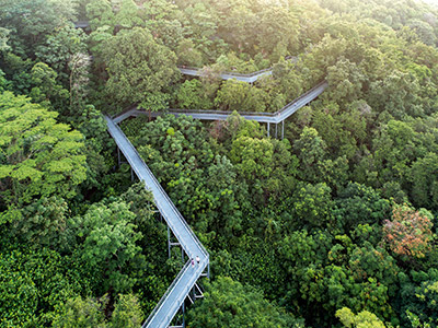 Voyage Singapour