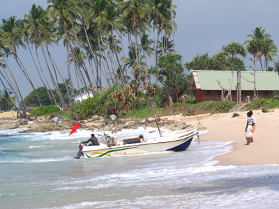 Arrivée d'un pêcheur sur une plage à Galle au Sri Lanka