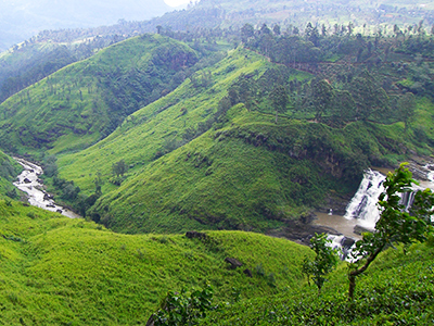 Voyage à Nuwara Eliya