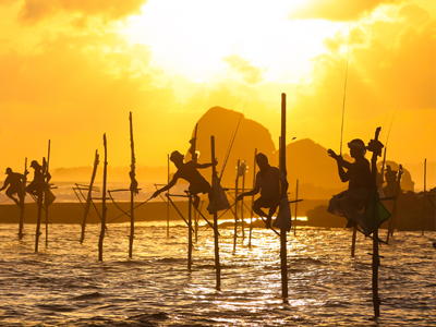 Voyage au Sri Lanka : à la découverte de la perle de l'Océan Indien 