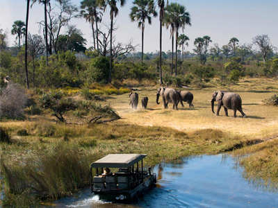 Safari privé dans les parcs nationaux en Tanzanie