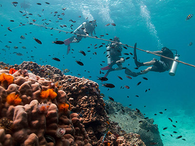 Voyage à Koh Tao