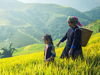 Séjour au Vietnam