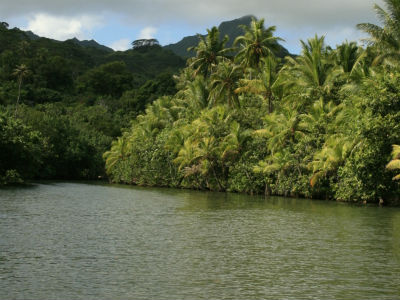 Excursion à Raiatea