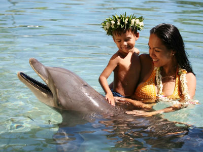 Rencontre avec un dauphin à Moorea