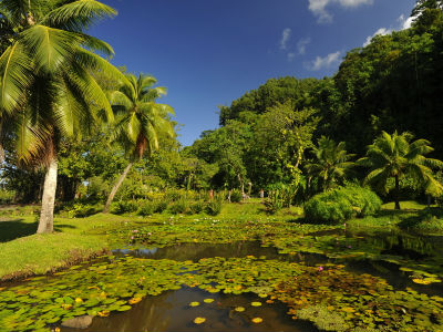 Excursion à Tahiti