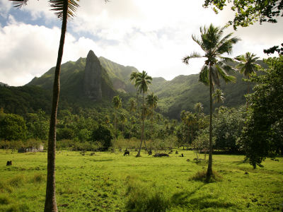 Excursion sur l'île sacrée Raiatea