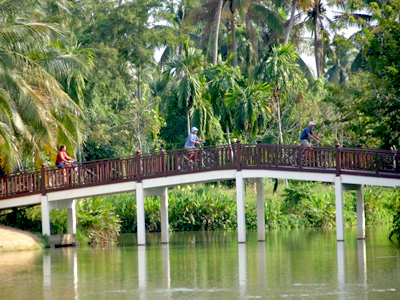 Balade à vélo à Bangkok