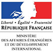 France Diplomatie conseils aux voyageurs
