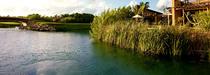Réservez en ligne votre séjour au Banyan Tree Mayakoba